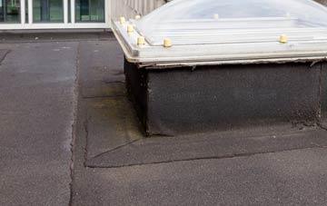 disadvantages of North Lancing flat roofs